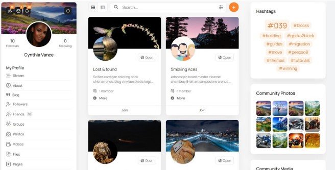 Reddit-Style Community Platform